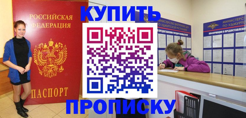 прописка поиск в Павловске